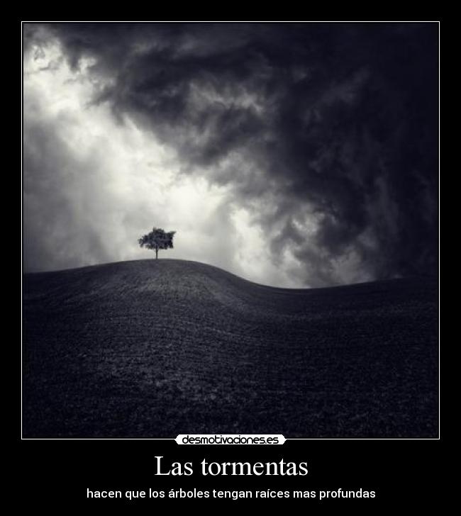 Las tormentas - hacen que los árboles tengan raíces mas profundas
