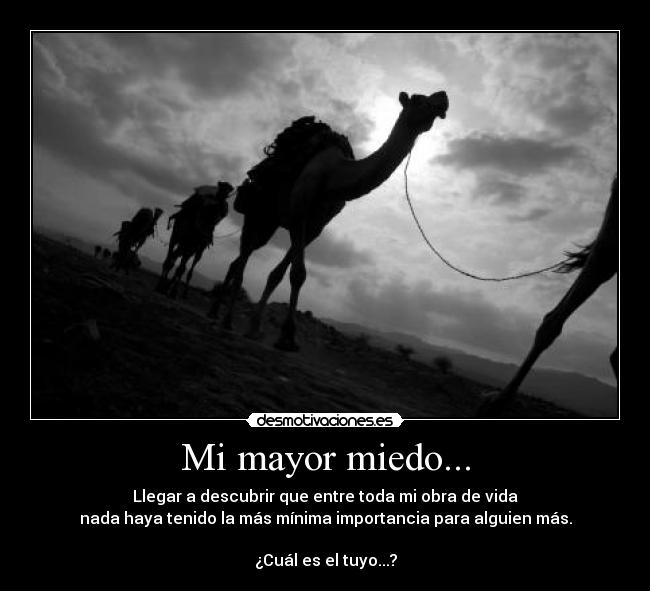 carteles miedo miedo vida futuro desmotivaciones