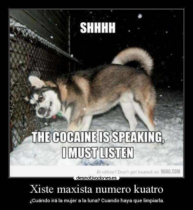 Xiste maxista numero kuatro - 