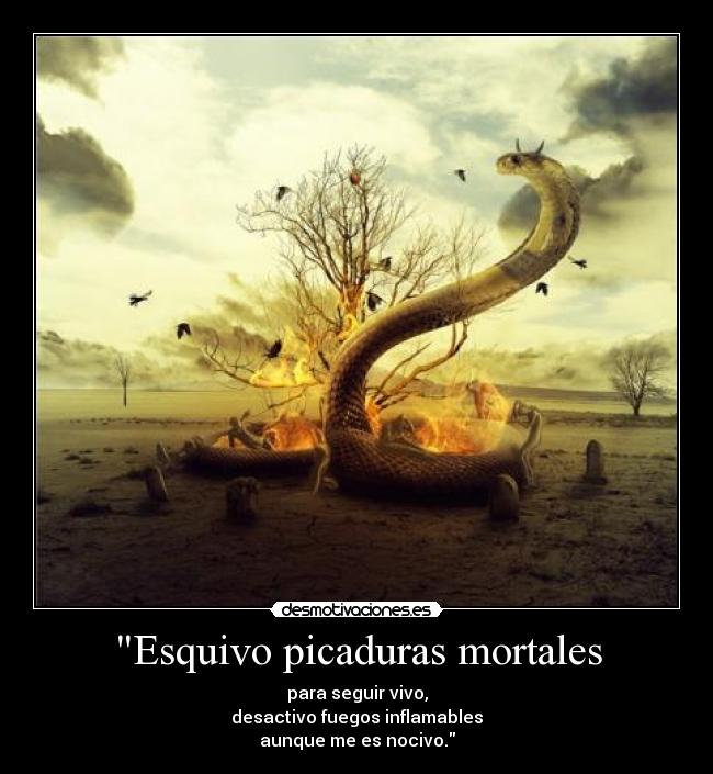 Esquivo picaduras mortales - para seguir vivo,
desactivo fuegos inflamables
aunque me es nocivo.