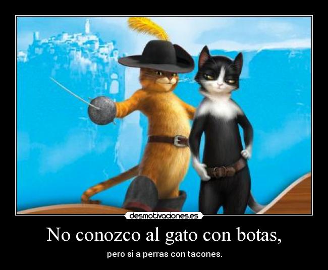 No conozco al gato con botas, - 