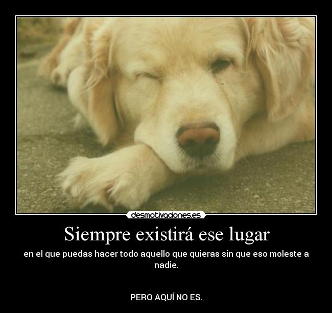 Siempre existirá ese lugar - en el que puedas hacer todo aquello que quieras sin que eso moleste a nadie.


PERO AQUÍ NO ES.