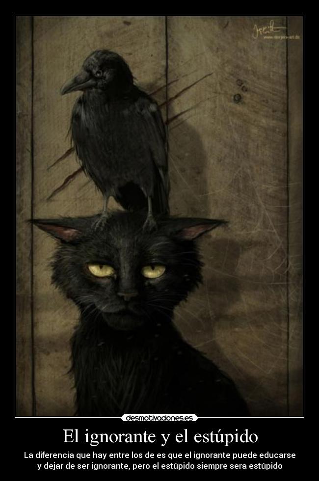 El ignorante y el estúpido -