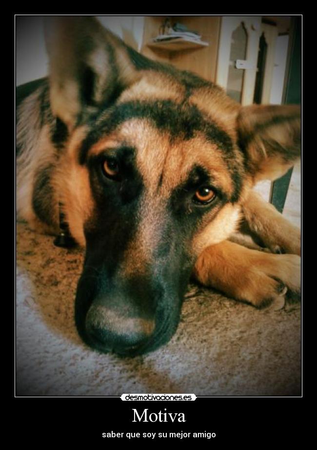 Motiva - saber que soy su mejor amigo