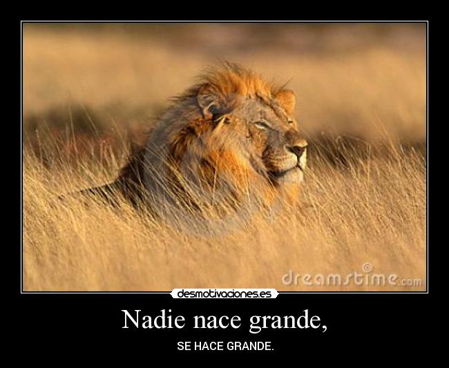 Nadie nace grande, - SE HACE GRANDE.