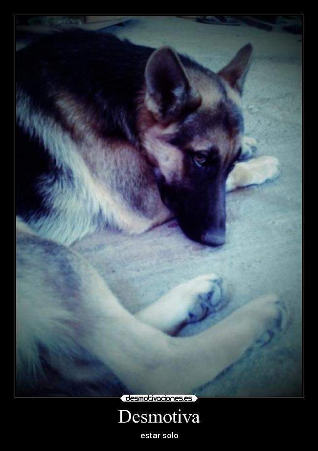 Desmotiva - estar solo