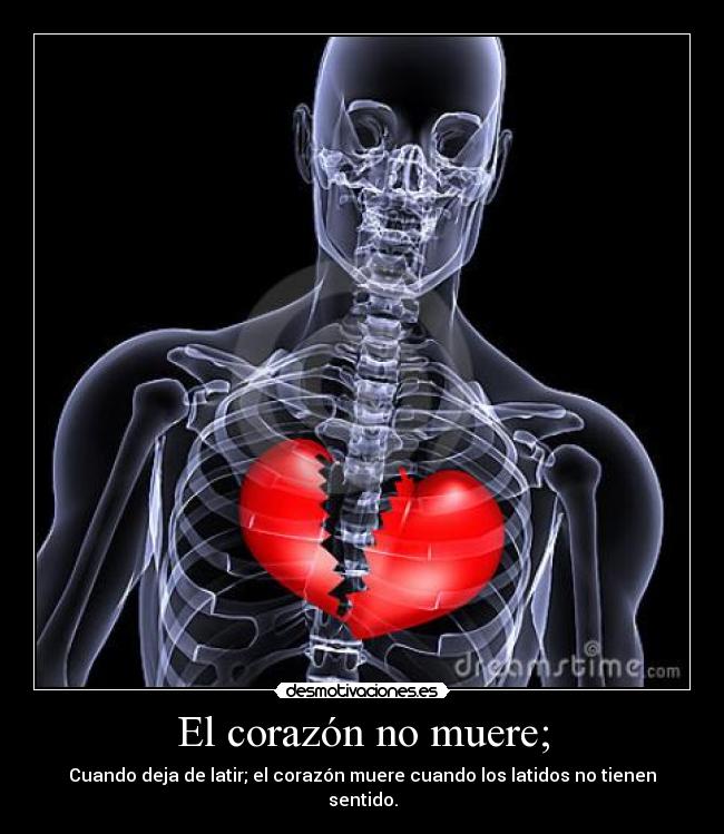 El corazón no muere; - Cuando deja de latir; el corazón muere cuando los latidos no tienen sentido.
