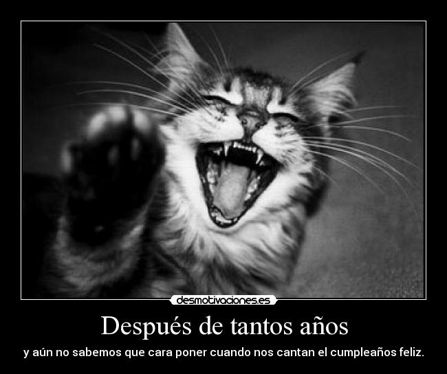 Después de tantos años -