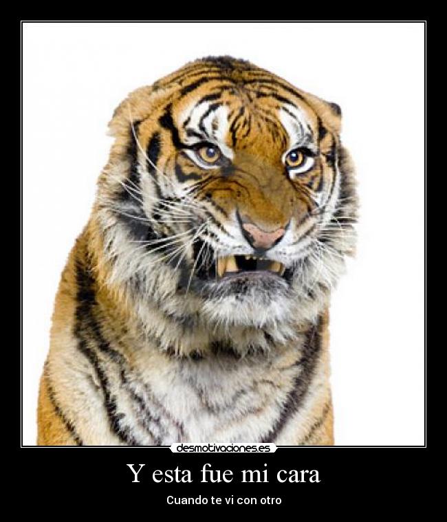 Y esta fue mi cara - Cuando te vi con otro