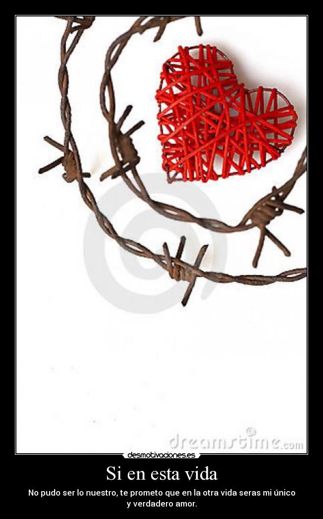 carteles vida amor prohibido desmotivaciones