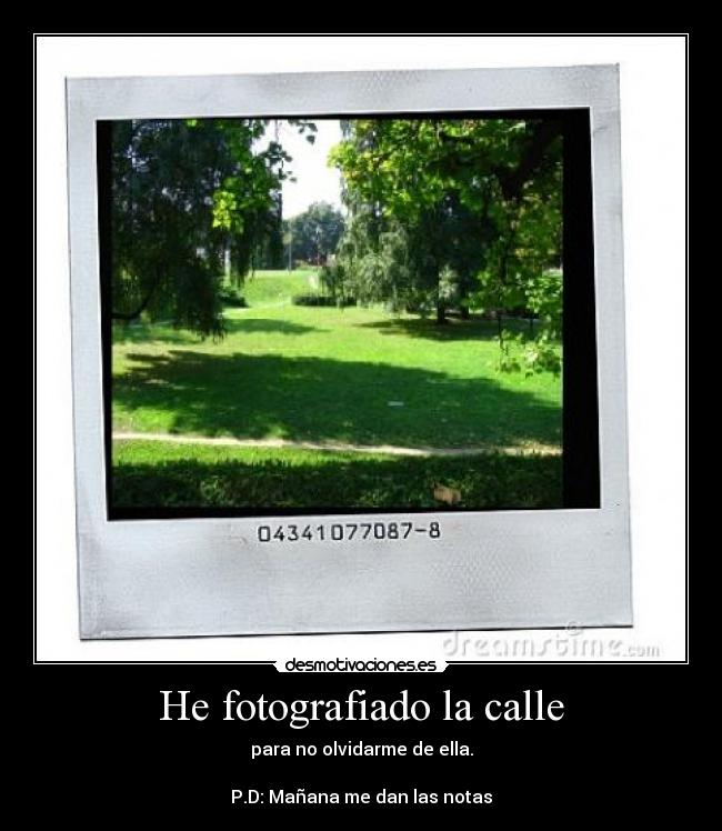 He fotografiado la calle - para no olvidarme de ella.
P.D: Mañana me dan las notas