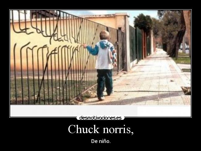 Chuck norris, -