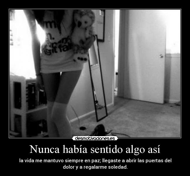 carteles camila desmotivaciones