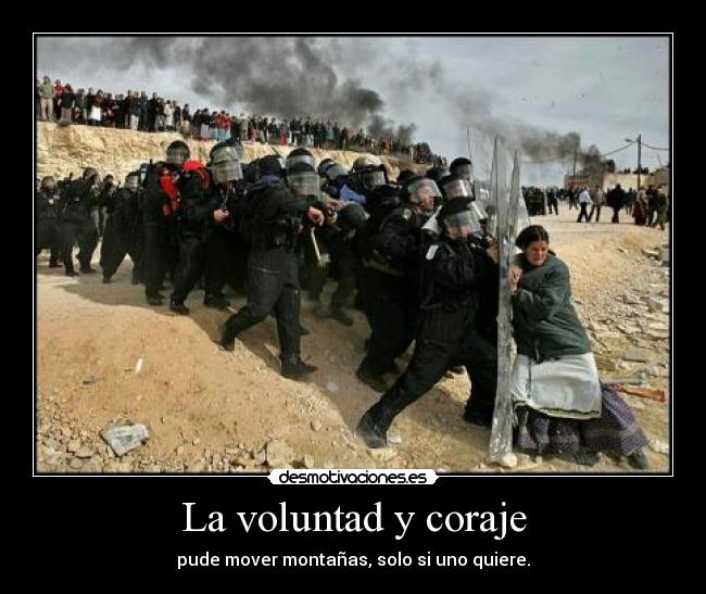 carteles primer demo catneko desmotivaciones