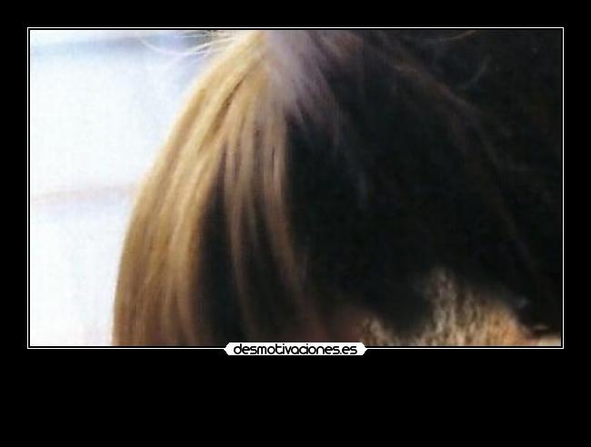 carteles las ardillas molan megacartel 1125 desmotivaciones