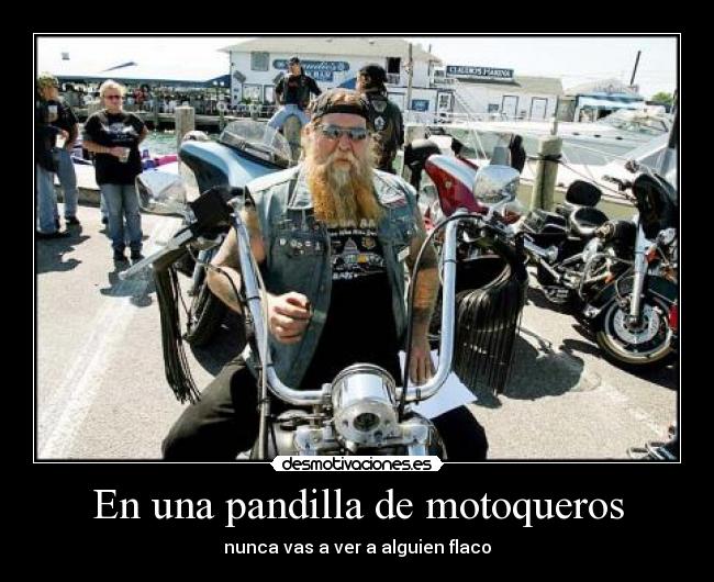 En una pandilla de motoqueros - nunca vas a ver a alguien flaco