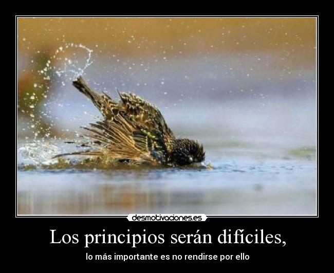 Los principios serán difíciles, -