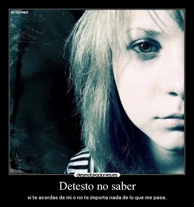 Detesto no saber - 