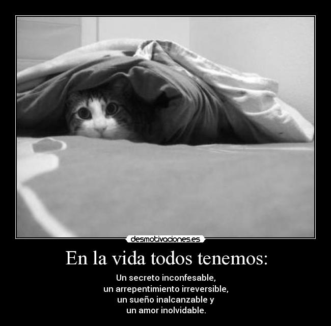 En la vida todos tenemos: - Un secreto inconfesable,
un arrepentimiento irreversible,
un sueño inalcanzable y
un amor inolvidable.