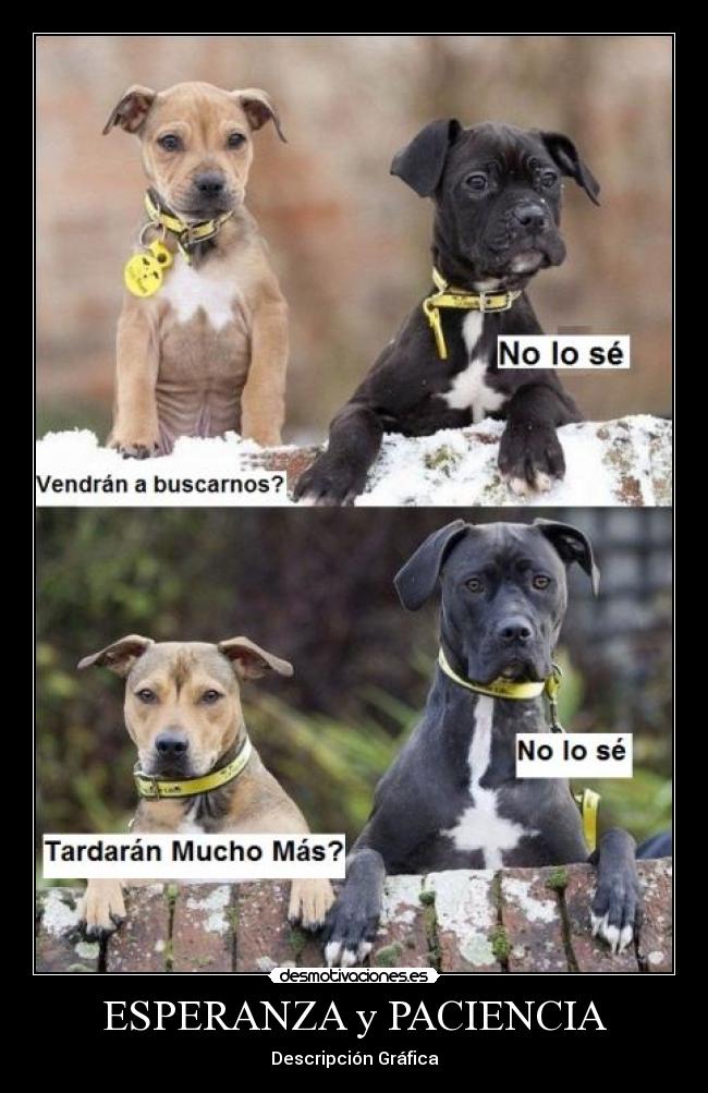 ESPERANZA y PACIENCIA -