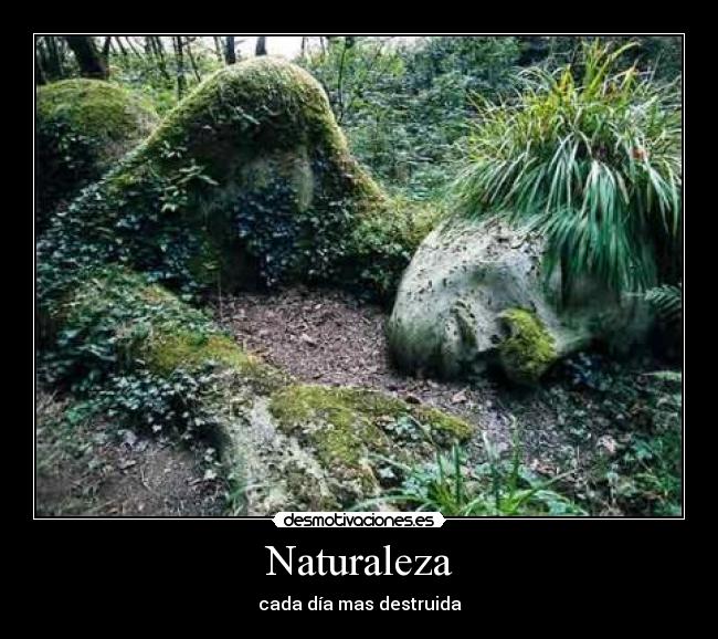 Naturaleza - cada día mas destruida