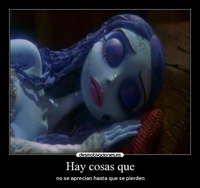 Hay cosas que - no se aprecian hasta que se pierden