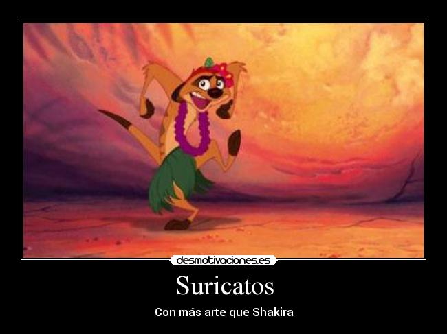 Suricatos - Con más arte que Shakira