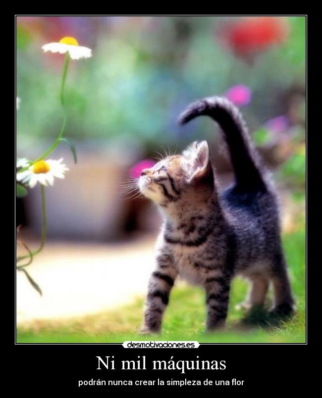 Ni mil máquinas - 