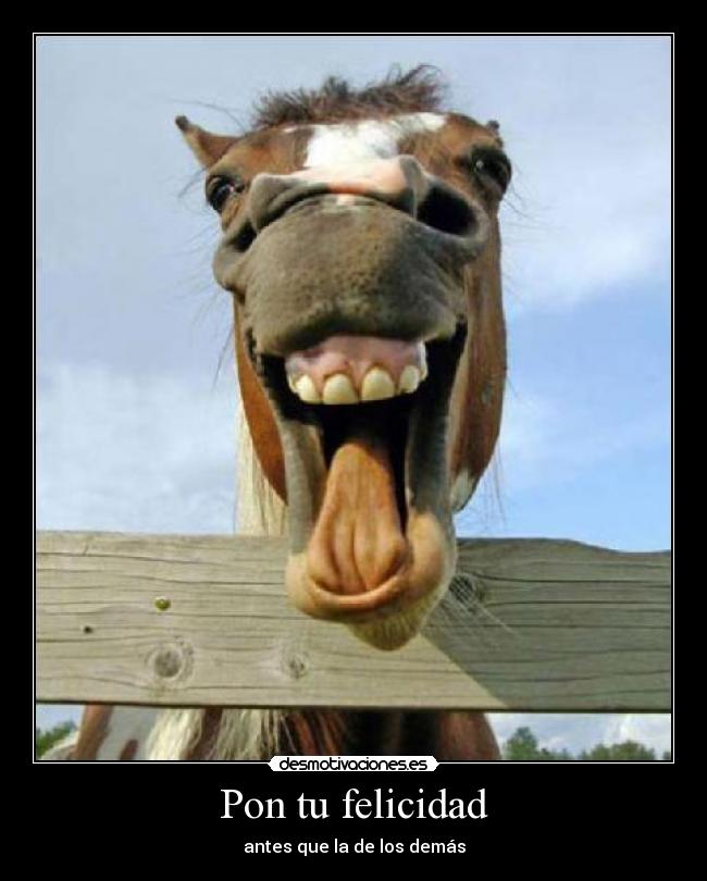 Pon tu felicidad - antes que la de los demás
