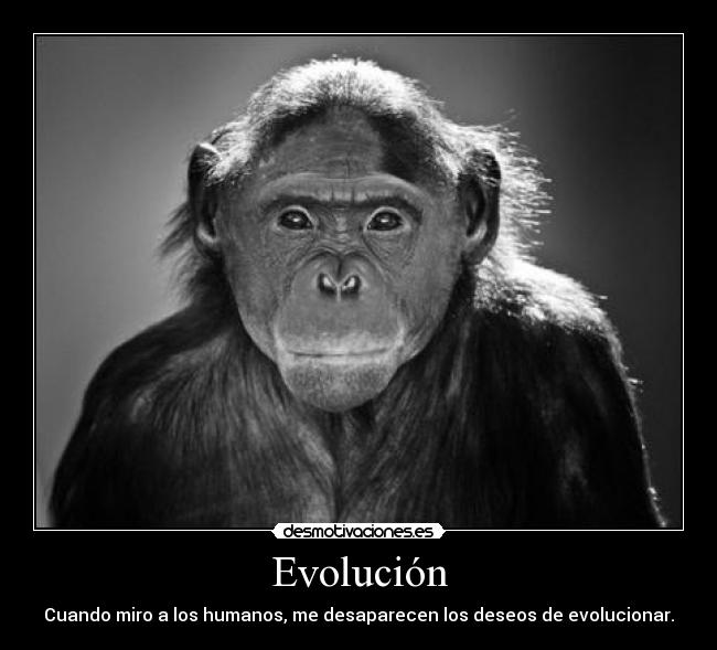 Evolución -