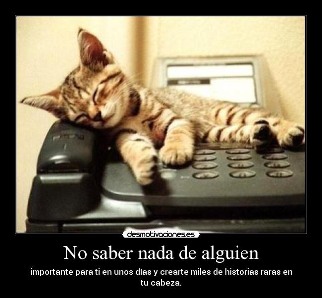 carteles saber nada alguien importante unos dias crearte miles historias raras cabeza desmotivaciones