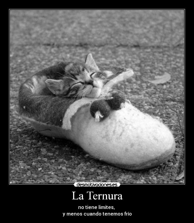 carteles ternura desmotivaciones