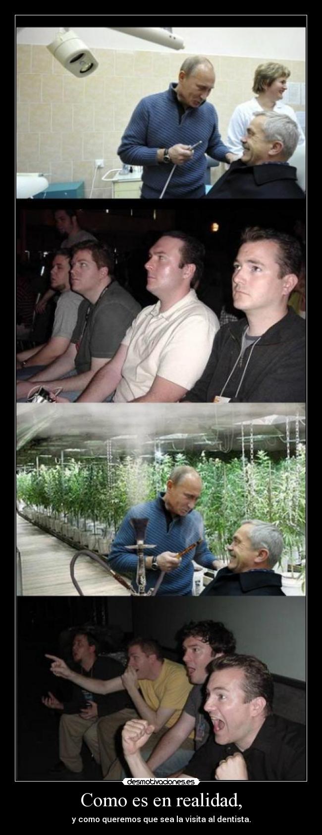 Como es en realidad, -