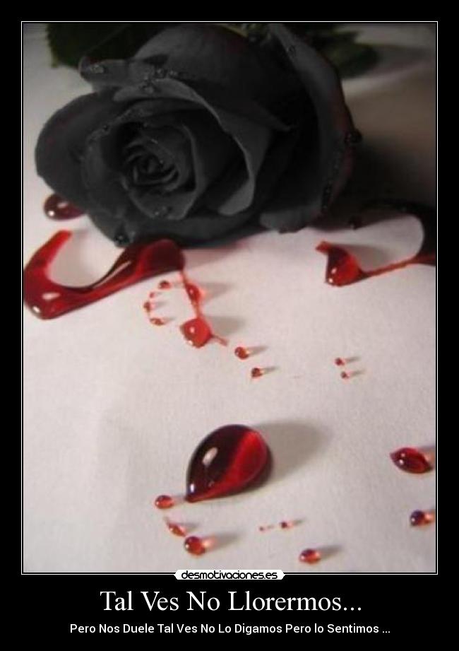 Tal Ves No Llorermos... - Pero Nos Duele Tal Ves No Lo Digamos Pero lo Sentimos ...