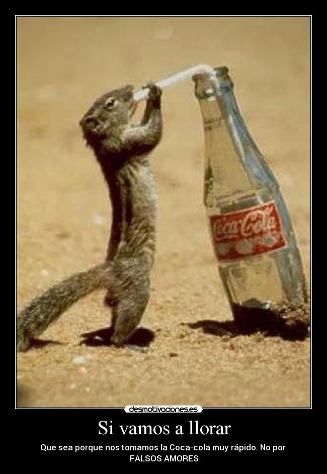 Si vamos a llorar - Que sea porque nos tomamos la Coca-cola muy rápido. No por
FALSOS AMORES