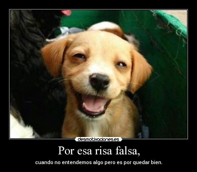Por esa risa falsa, - 