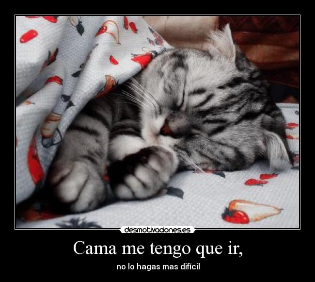 Cama me tengo que ir, - no lo hagas mas difícil