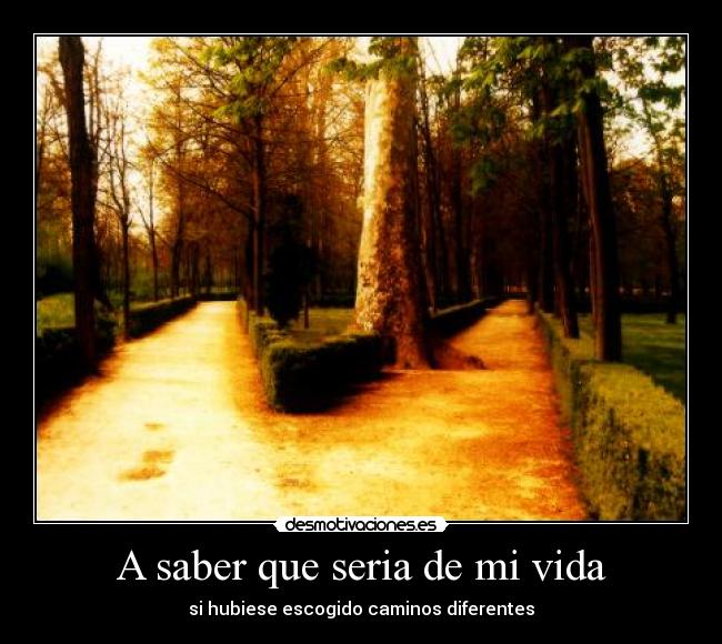 A saber que seria de mi vida - si hubiese escogido caminos diferentes