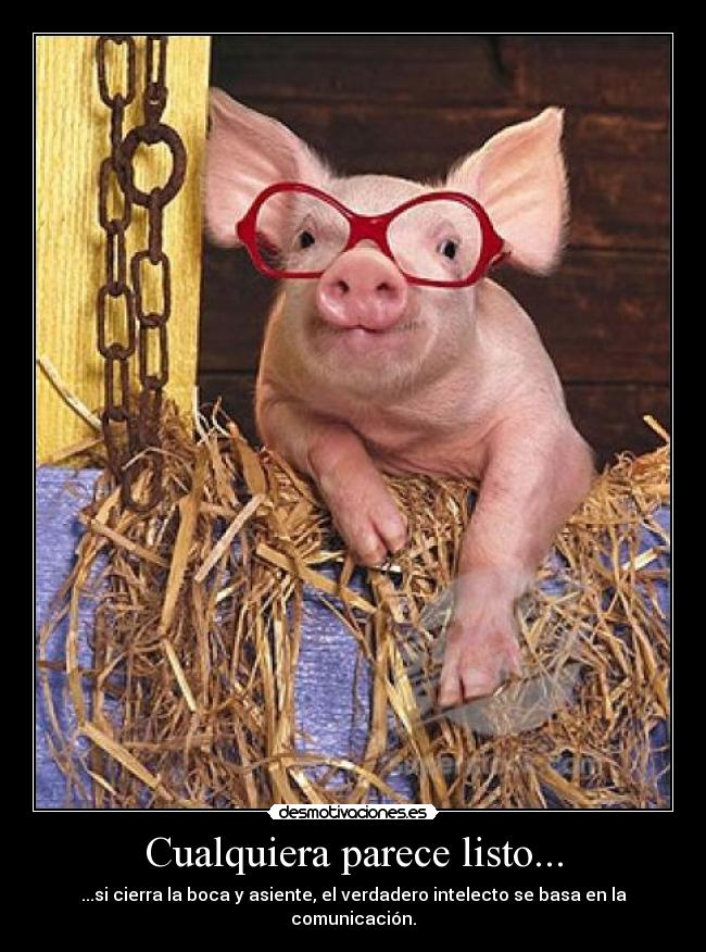 Cualquiera parece listo... -