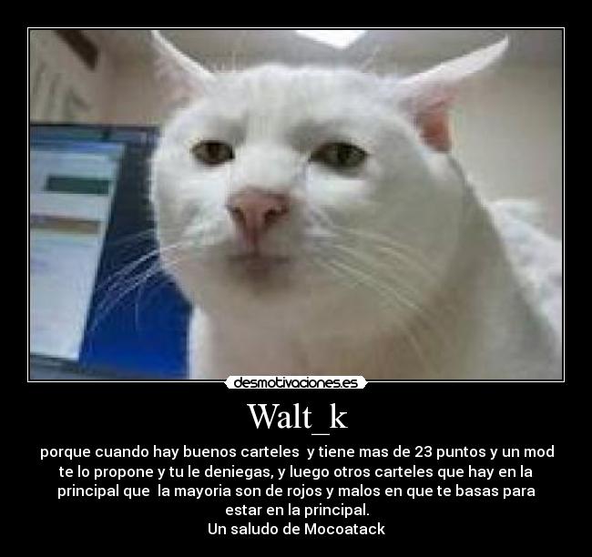 Walt_k - porque cuando hay buenos carteles y tiene mas de 23 puntos y un mod
te lo propone y tu le deniegas, y luego otros carteles que hay en la
principal que la mayoria son de rojos y malos en que te basas para
estar en la principal.
Un saludo de Mocoatack