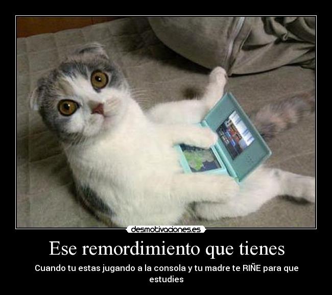 Ese remordimiento que tienes - 