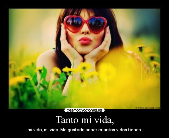 carteles vida neverforgetyoursmile desmotivaciones