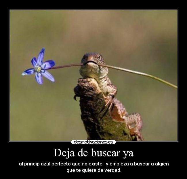Deja de buscar ya - 