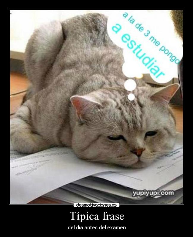 Típica frase - del día antes del examen