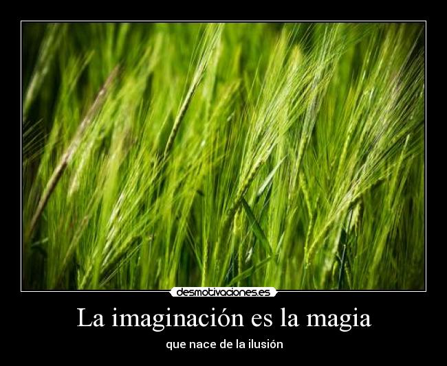La imaginación es la magia - que nace de la ilusión