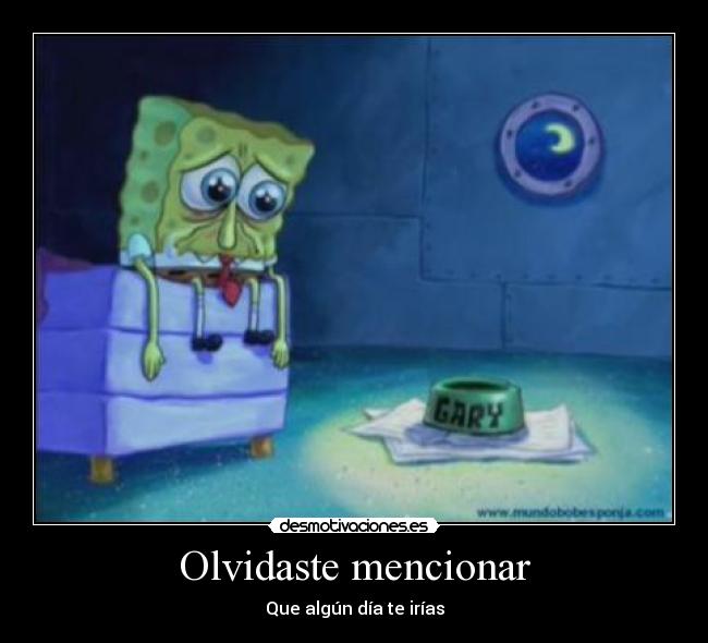 Olvidaste mencionar -