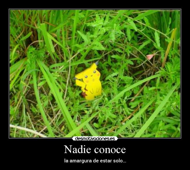 Nadie conoce -