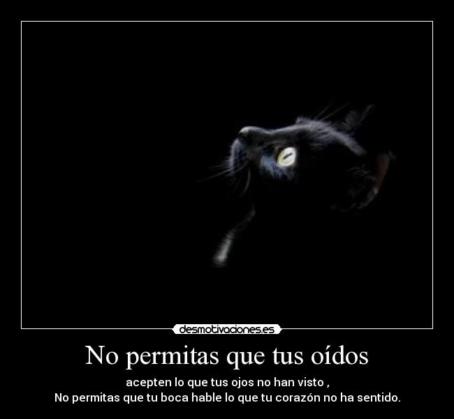 No permitas que tus oídos - acepten lo que tus ojos no han visto ,
No permitas que tu boca hable lo que tu corazón no ha sentido.