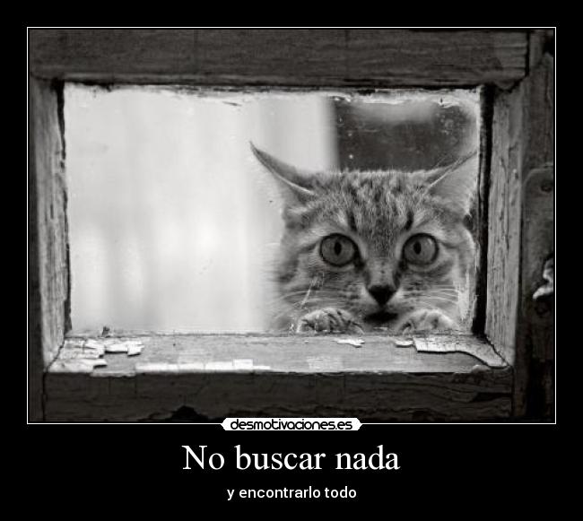 No buscar nada - 