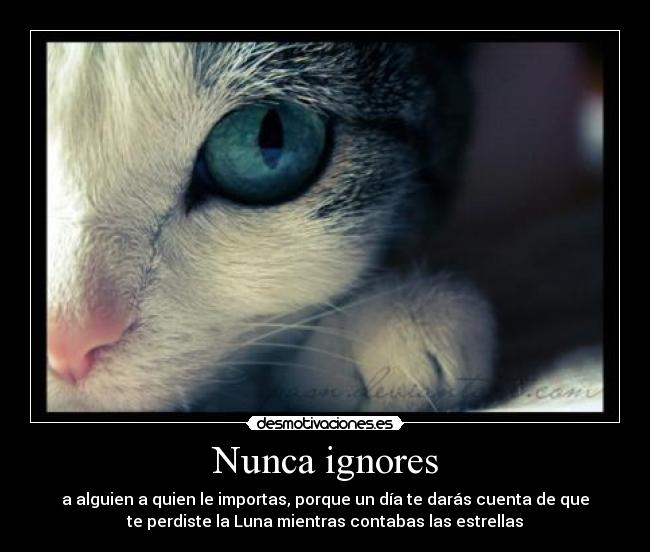 Nunca ignores - 